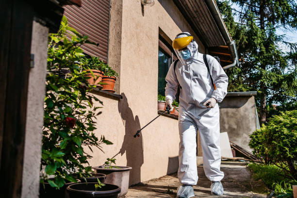 Best Pest Removal Services  in Le Roy, IL