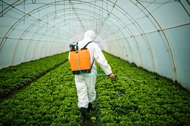 Best Local Pest Control Services  in Le Roy, IL