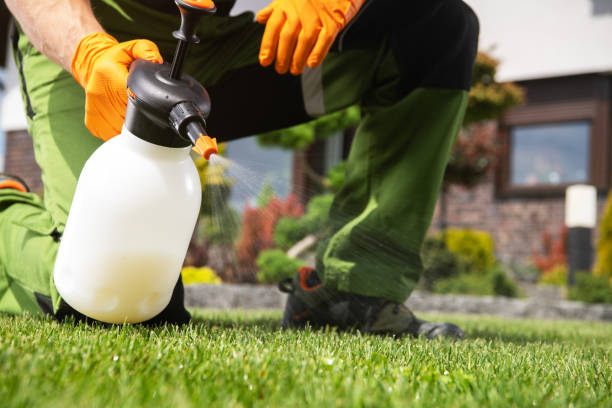 Best Best Pest Control Companies  in Le Roy, IL