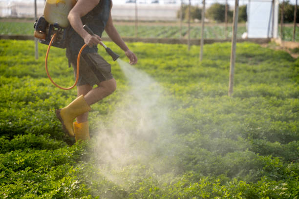 Best Wasp Removal Services  in Le Roy, IL