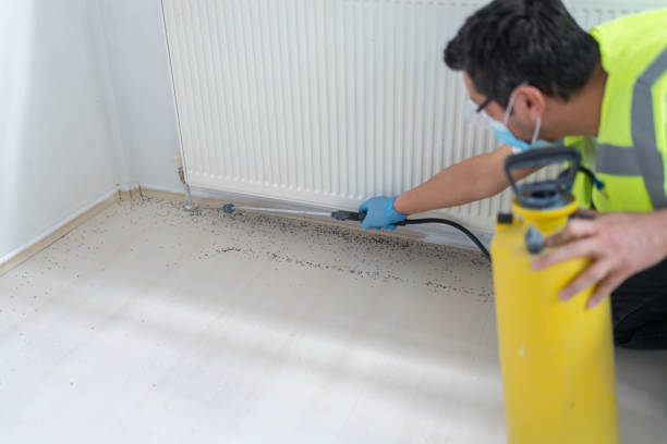 Best Flea Control Services  in Le Roy, IL