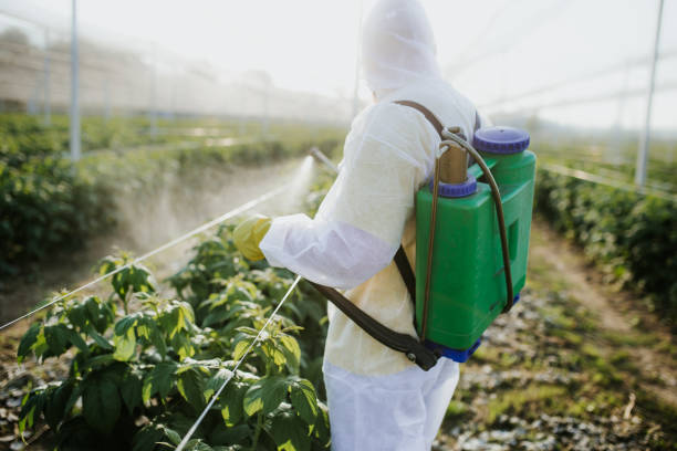 Best Wildlife Control Services  in Le Roy, IL